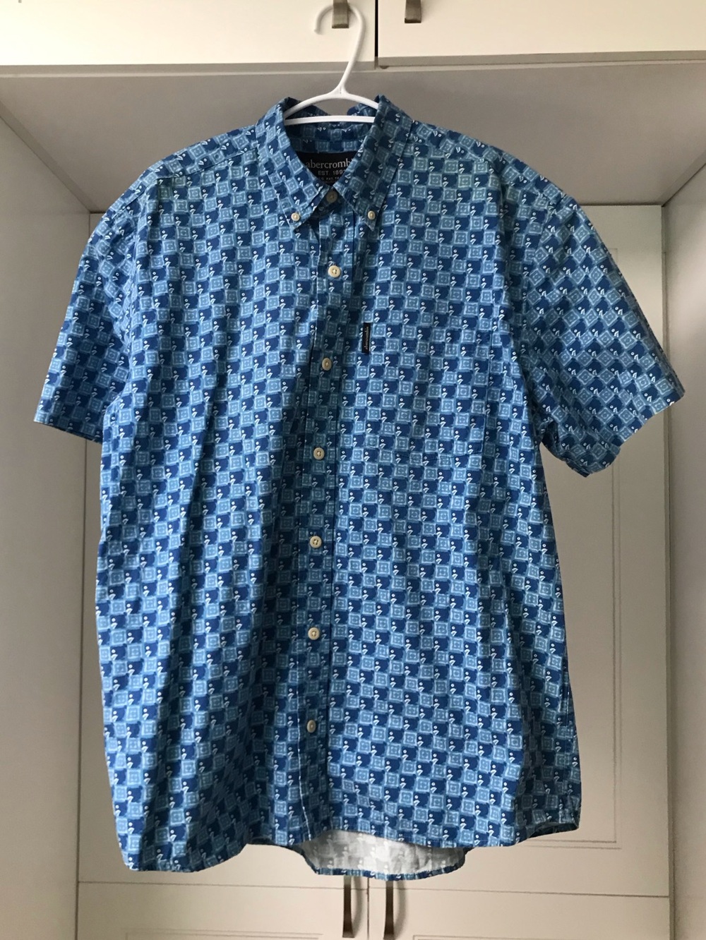 Abercrombie & Fitch Boy’s Teens XL Blue Short-Sleeve Button-Down Shirt